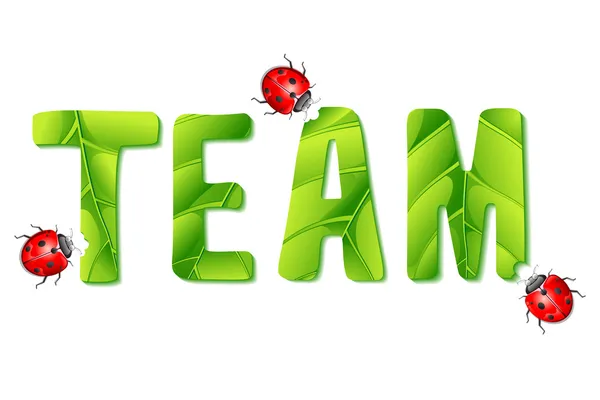 Lady Bug eating Team — Stock Vector