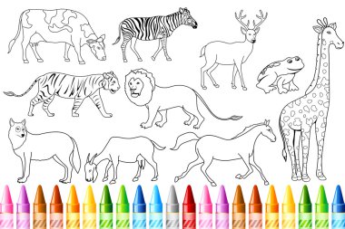 Animal Color Book clipart