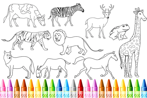 Livro de cores de animais — Vetor de Stock