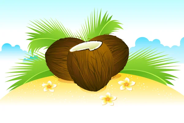 Coco en la playa — Vector de stock