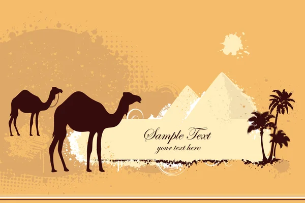 Camelo no deserto —  Vetores de Stock