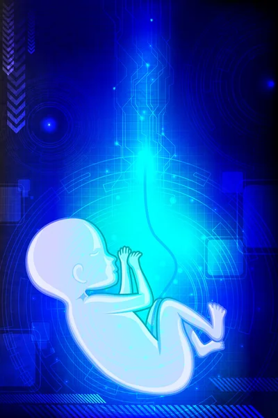 Baby foetus — Stockvector