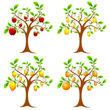 Fruit Tree clipart