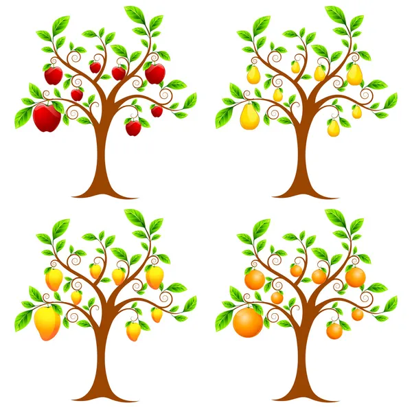 Arbre fruitier — Image vectorielle