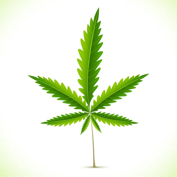 Marihuana yaprağı — Stok Vektör