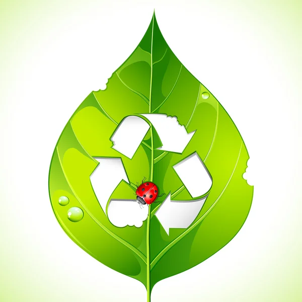 Recycle on Leaf — Stock Vector