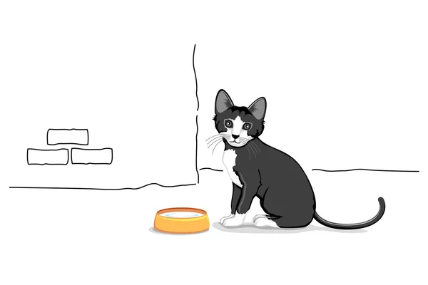 Gato con leche Bowl — Archivo Imágenes Vectoriales