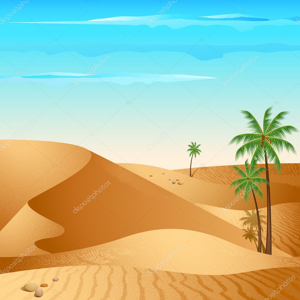 desert palm tree images