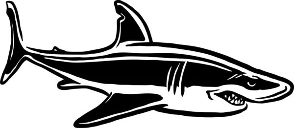 Shark attack — Stock Vector