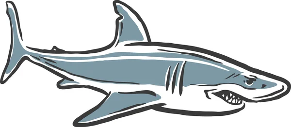 Attaque de requin — Image vectorielle