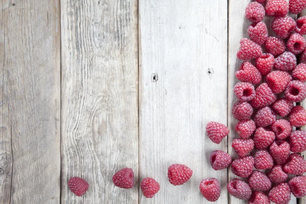 stock image Fresh raspberries