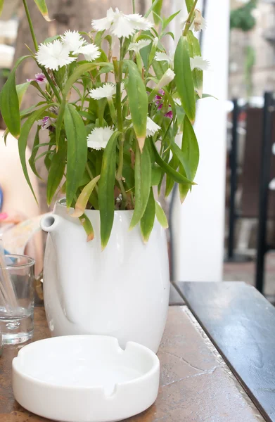 Fiori bianchi in vaso bianco — Foto Stock