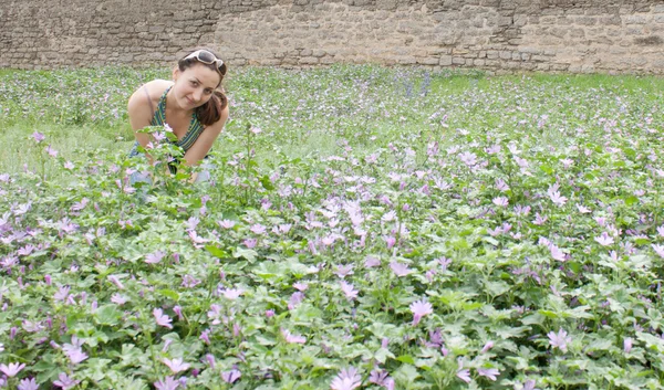 Una chica se sienta en las flores silvestres —  Fotos de Stock