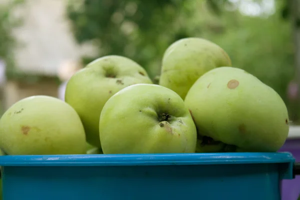 Le mele verdi sono in un secchio — Foto Stock