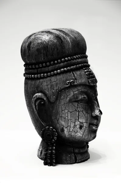 Oriental indian lady — Stock Photo, Image