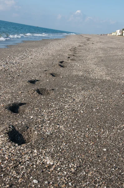 stock image Footprints