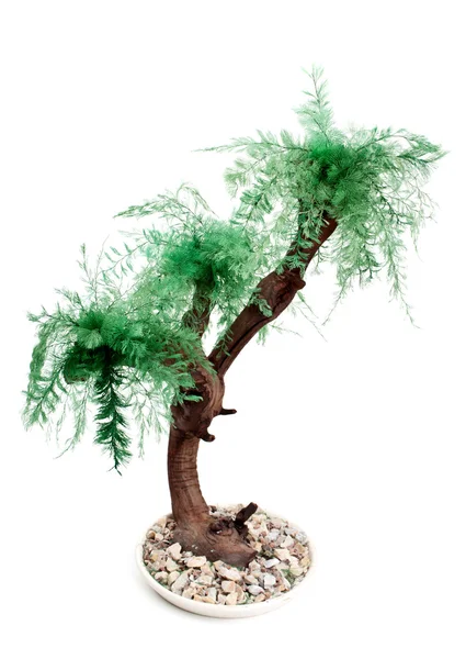 Зеленый Искусственное дерево — стоковое фото