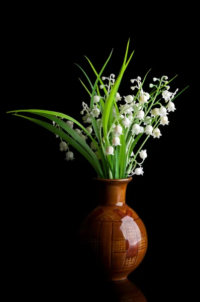 Schneeglöckchen in einer Vase — Stockfoto