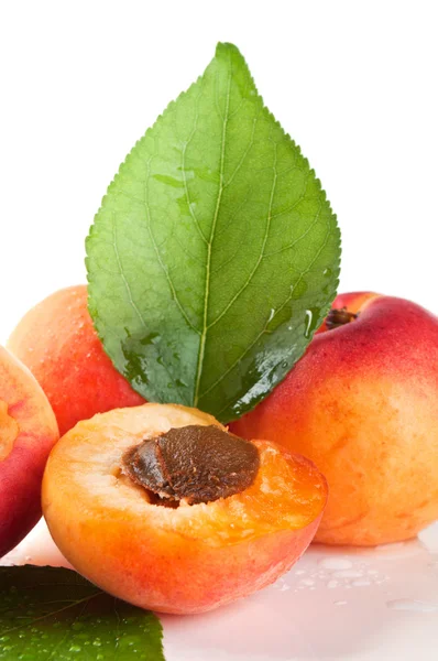 Verse abrikozen en verse bladeren — Stockfoto