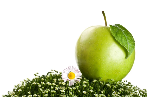 Yeşil çimenlerin üzerinde taze elma — Stok fotoğraf