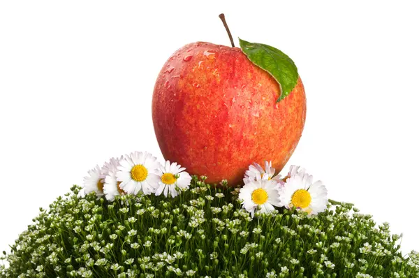 Rode appel op groen gras — Stockfoto