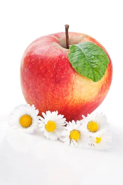 Red apple and flowers — Stock Photo, Image
