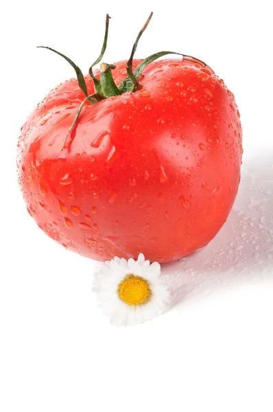 Свежие помидоры и цветы — стоковое фото