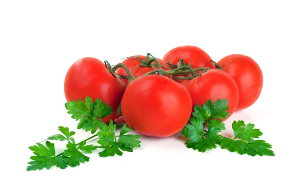 Čerstvé rajče — Stock fotografie