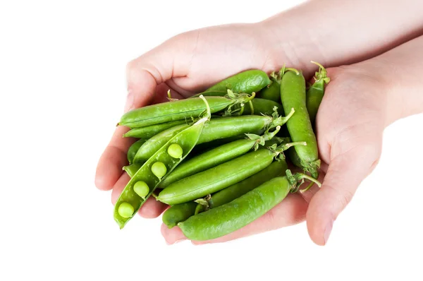 手里的新鲜绿豌豆 — 图库照片