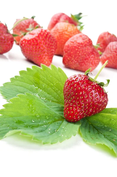 Fresh strawberry and green leaf — Stock Photo, Image