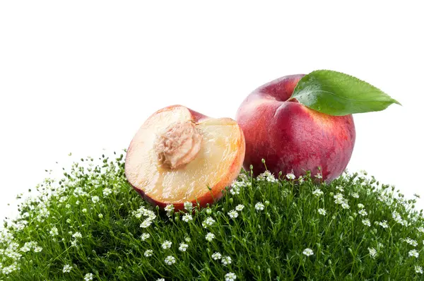 Fresh peach on a green grass — Stock Photo, Image