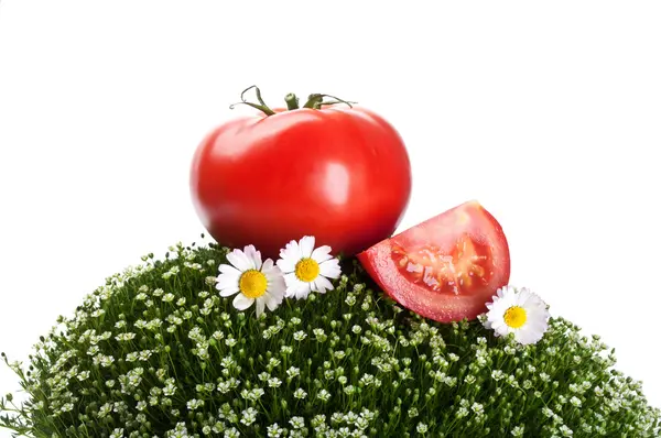 Frischen Tomaten auf dem grünen Gras — Stockfoto