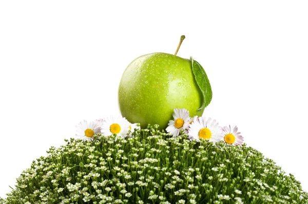 Verse apple op een groen gras — Stockfoto
