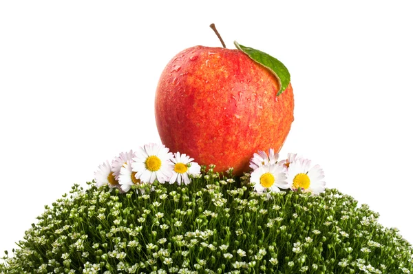 Fresh apple on a green grass — Stock Photo, Image