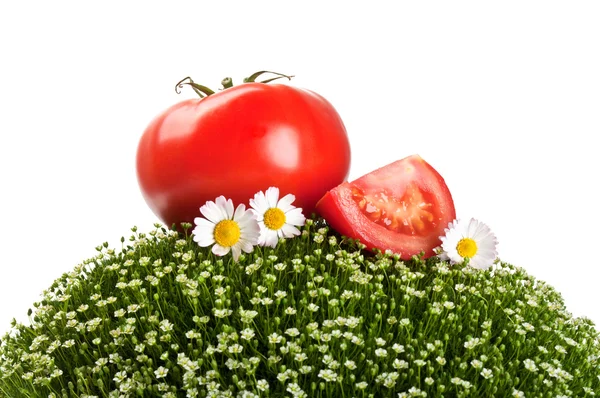 Frischen Tomaten auf dem grünen Gras — Stockfoto