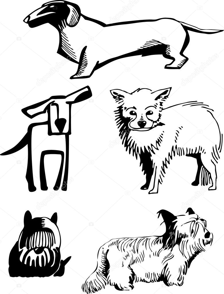 Stylized, contour image of dogs of various breeds.