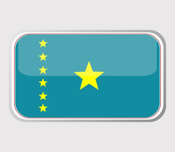 Flag of congo in the form. vector — Stock Vector