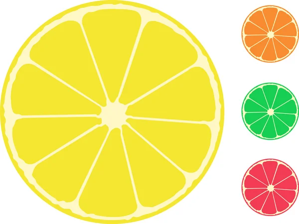 Citrusové plody. pomeranč, citron, limeta, grapefruit — Stockový vektor