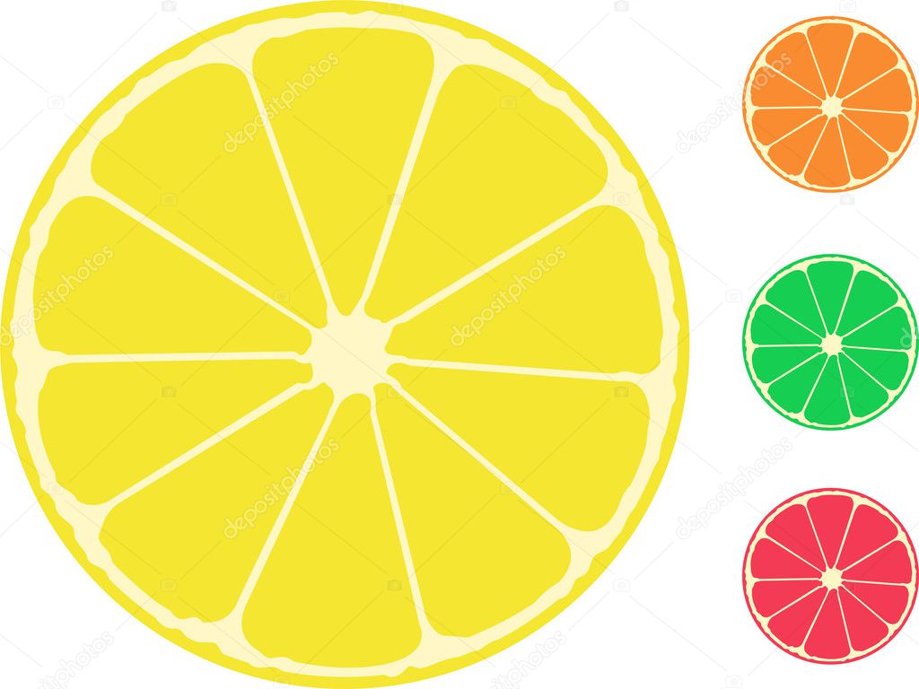 Citrus fruit. Orange, lemon, lime, grapefruit — Stock Vector ...