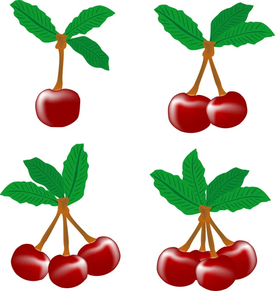 Perfekt sötkörsbär med blad isolerade — Stock vektor