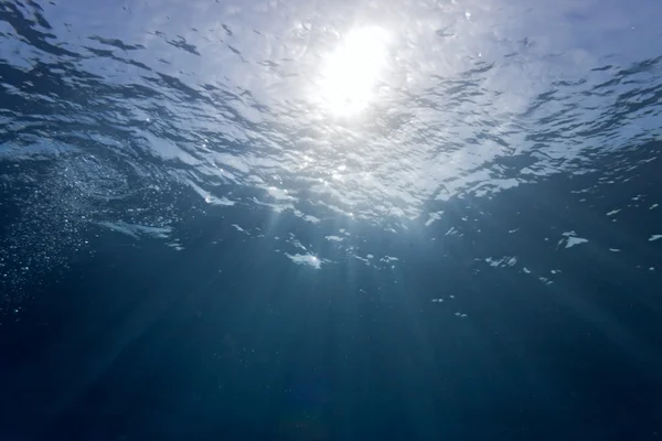 Mar subaquático — Fotografia de Stock