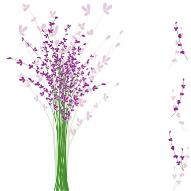 Summertime purple Lavender flower clipart