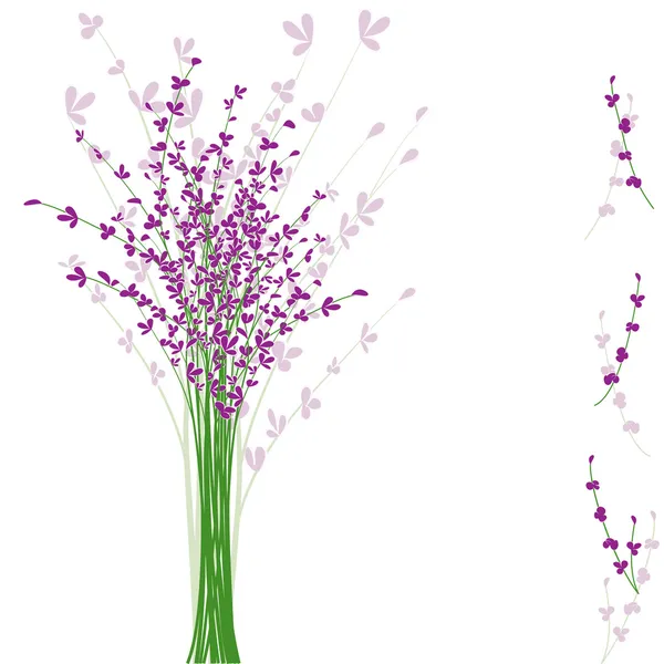 Bunga Lavender ungu musim panas - Stok Vektor