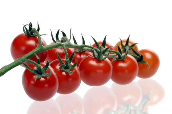 Soczyste pomidory czerwone — Zdjęcie stockowe