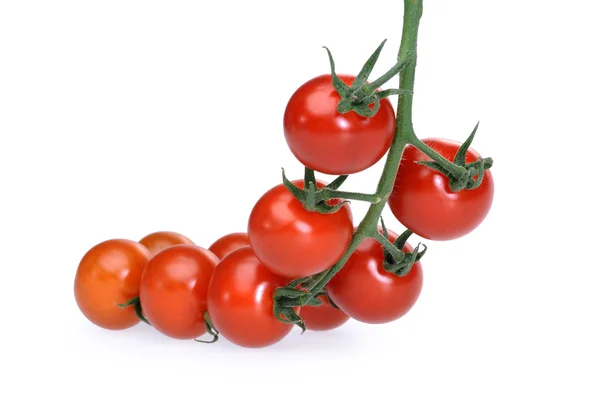 Sulu kırmızı domates — Stok fotoğraf