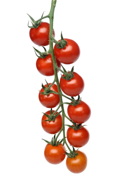 Soczyste pomidory czerwone — Zdjęcie stockowe
