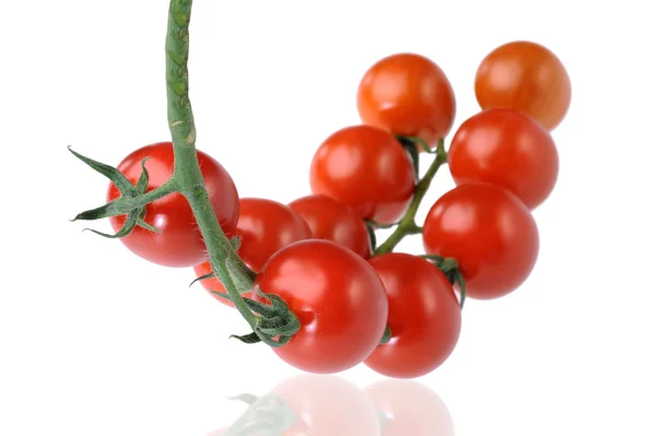 Tomates rojos jugosos —  Fotos de Stock