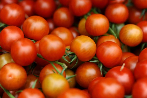 Pikantní červená rajčata — Stock fotografie