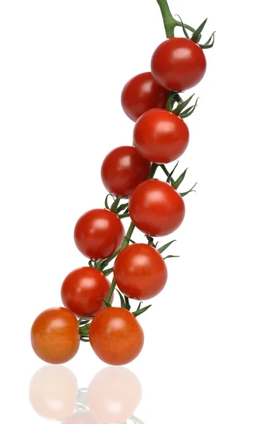 Pikantní červená rajčata — Stock fotografie