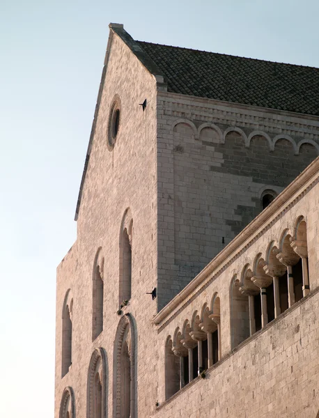 建筑在罗马天主教大教堂 — 图库照片